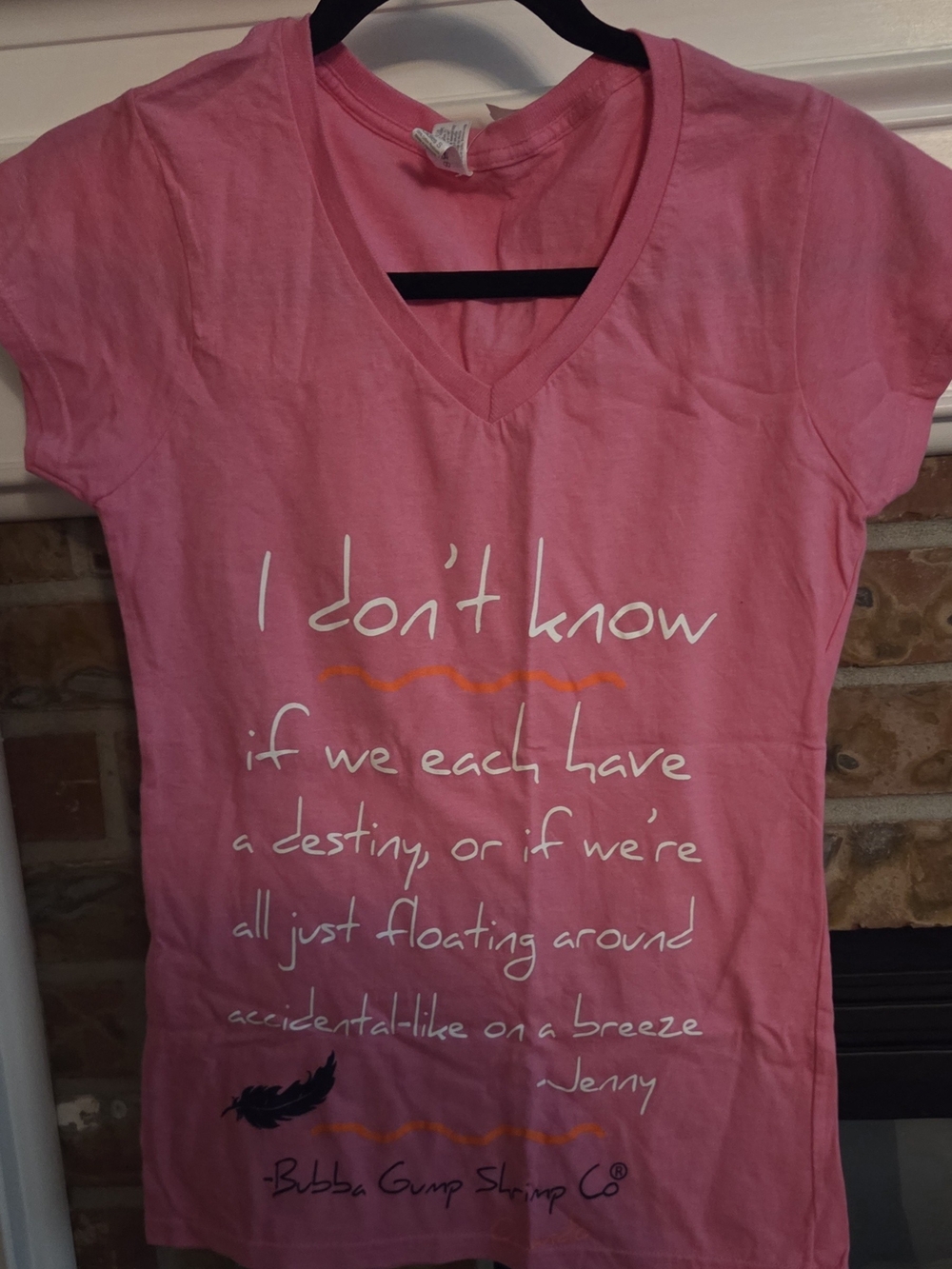 Bubba Gump Pink Women's V-Neck Tee